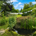 Teich mit Garten