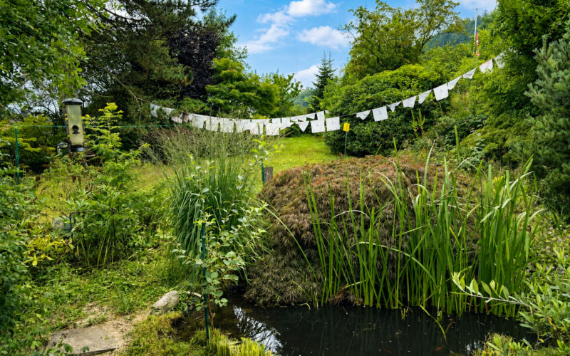 Teich mit Garten