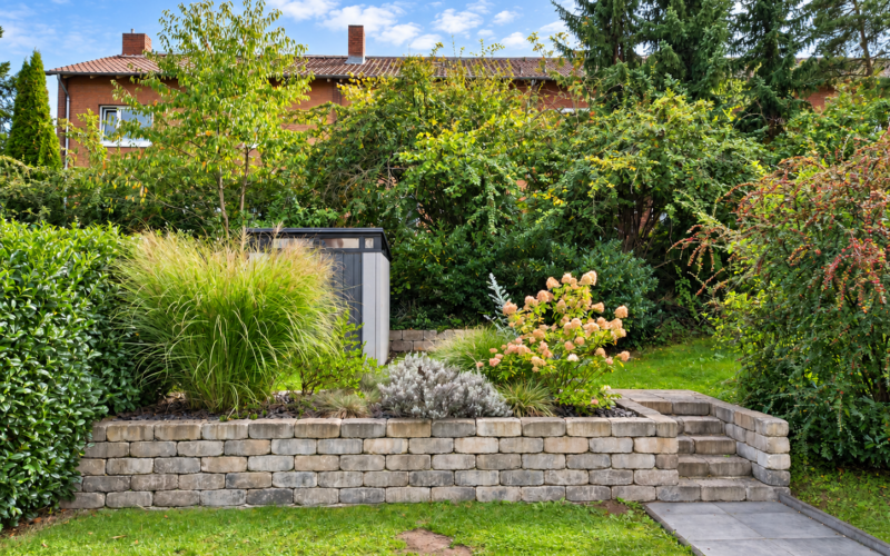 Garten hinten