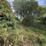 Immobilienfoto zu Platz für Macherinnen und Macher –Wohnen, Werkstatt, Scheune, Garagen und Garten